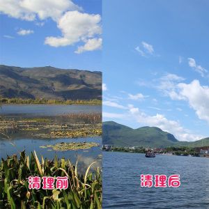 洱?？蛻艉此萸謇硇Ч故?></div>
														<div   id=